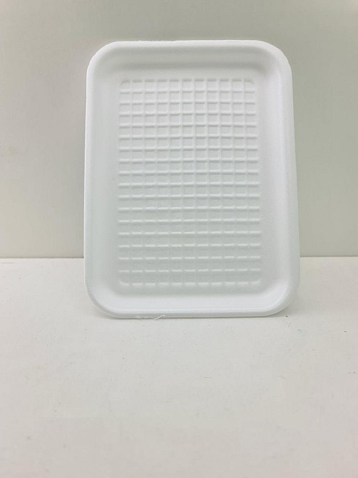 Лоток зі спіненого полістиролу (178*133*10) T-410 (200 шт) Харків - фото 3