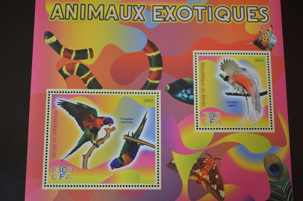 Марки. Фауна. Блок. 2010 рік (А-31) Полтава - изображение 1