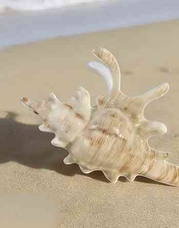 Заколка-крабик 