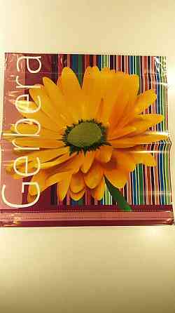 Полиэтиленовый пакет (40х40) с пластиковой ручкой большой 