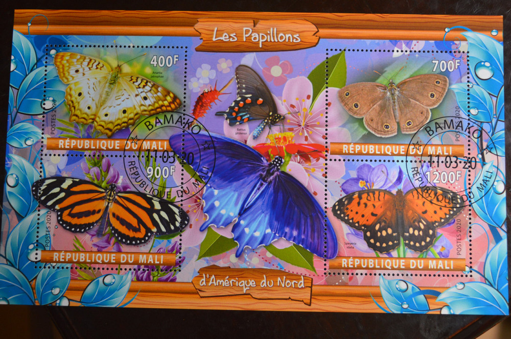 Мали. Марки. Фауна. Блок. 2020 год (В-2) Полтава - изображение 1