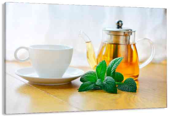 Картина холст в гостиную / спальню   Чай з м'яти   MLP_344 50x100 см Киев