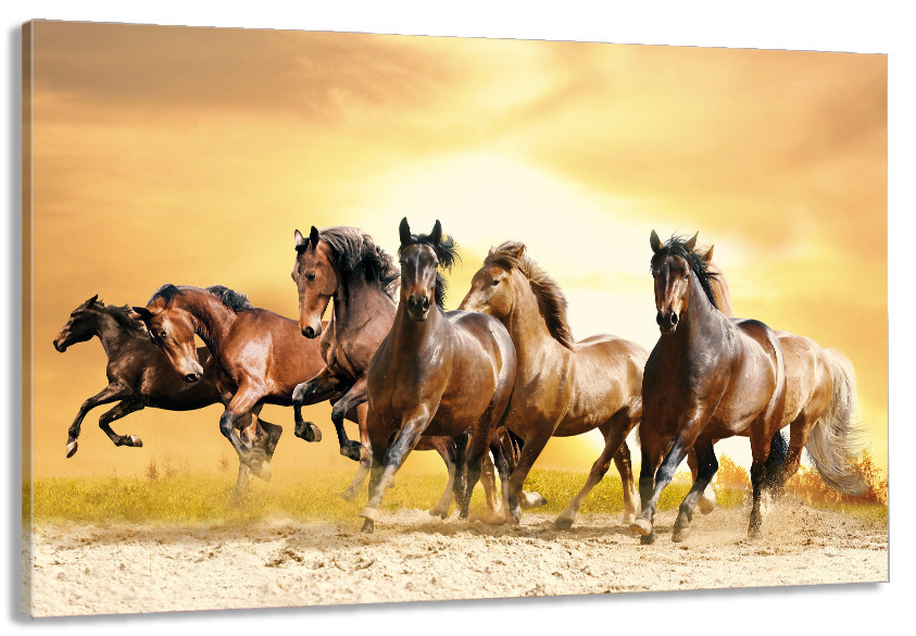 Картина полотно у вітальню / спальню   Вільні  Коні      MLP_257 ( 60х30см ) 80х160см Київ - фото 1