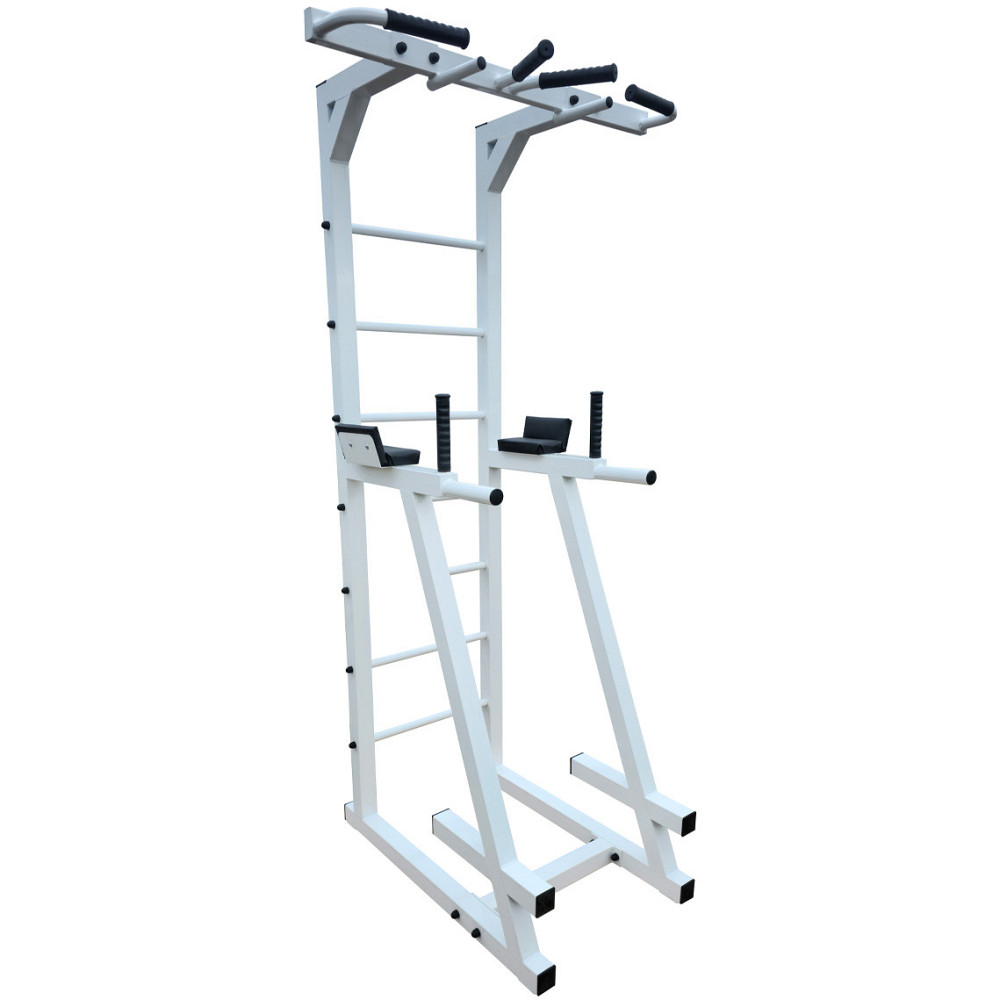 Турник, брусья и пресс, шведская стенка (50х50 мм) (А835-50-Б) Киев - изображение 1