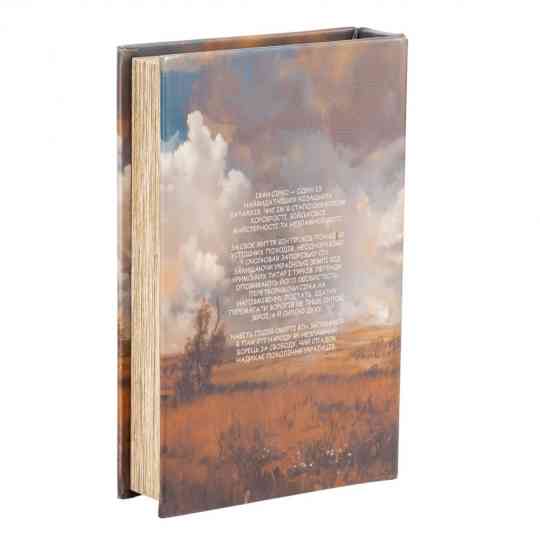Книга-тайник сейф Козак Сирко для денег и ценностей, 26 см Вінниця