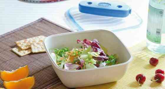 Контейнер для ланчу 1,5 л Київ