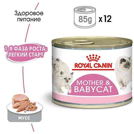 Royal Canin Mother Babycat Ultra Soft Mousse 12 шт (Роял Канін Мазер Бебікет) вологий корм для вагітних кішок Запоріжжя