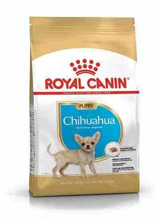 Royal Canin Chhuahua Puppy (Рояв Канін Чіхуахуа Паппі) сухий корм для цуценят 1.5 кг. Запоріжжя