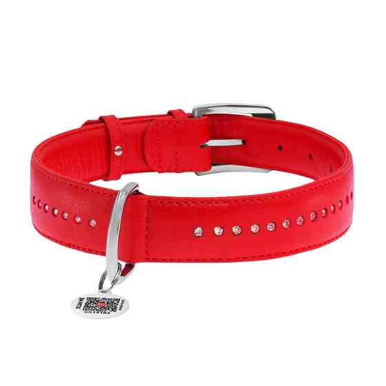Нашийник для собак шкіряний WAUDOG Glamour з QR паспортом, подвійний зі стразами, XL, Ш 35 мм, Коломыя