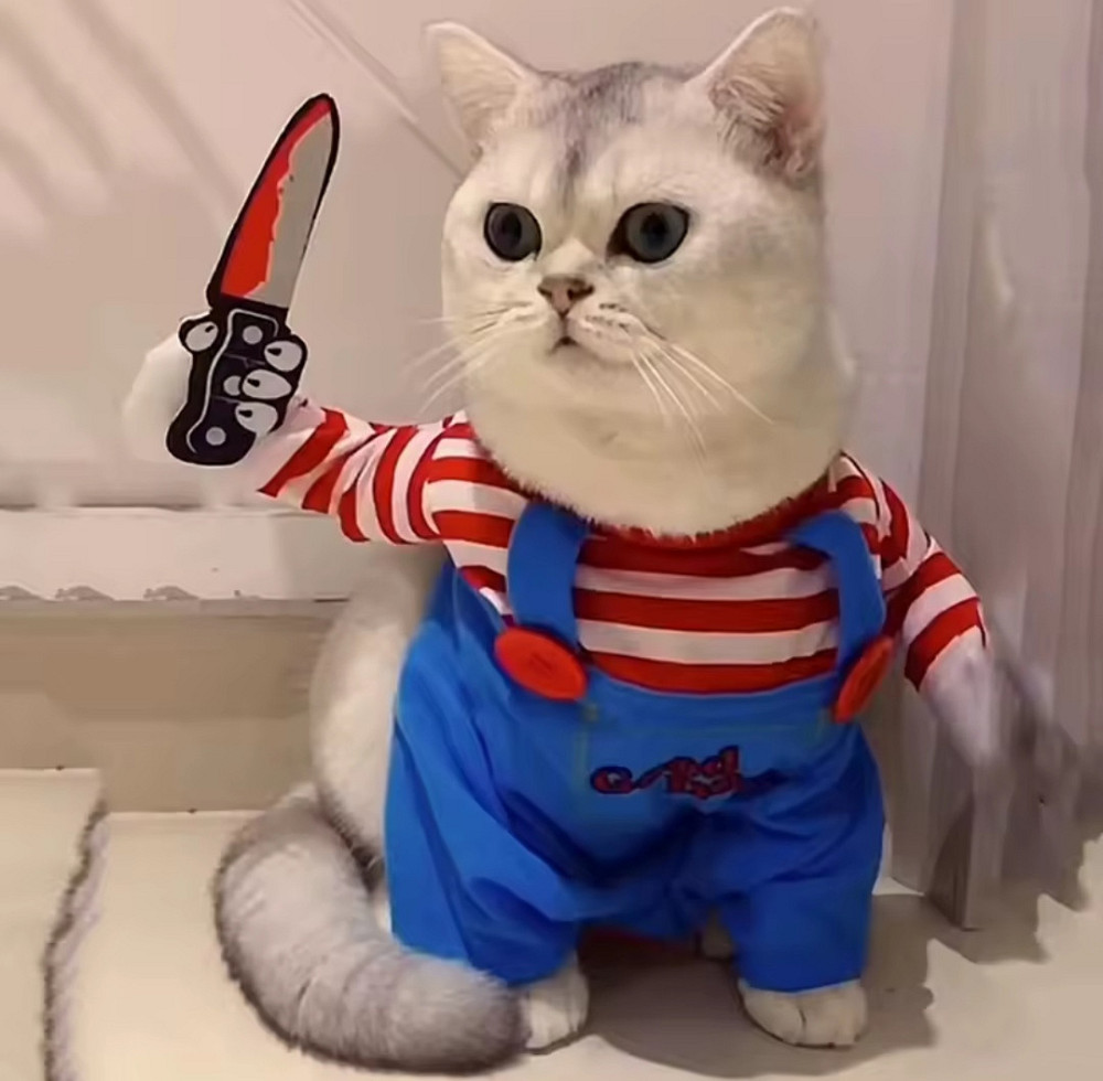 Костюм для котів і собак Чакі XS на Хелловін різнокольоровий Київ - фото 5