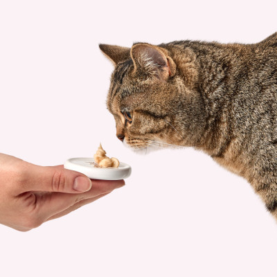 Ласощі для котів Delickcious ягня з додаванням коричневого рису та цукіні 4х15 г (4820269145368) Вінниця - фото 8