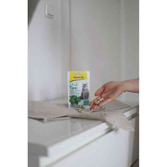 Вітамінізовані ласощі для котів GimCat Cat-Mintips з котячою м'ятою, 40 г Вінниця