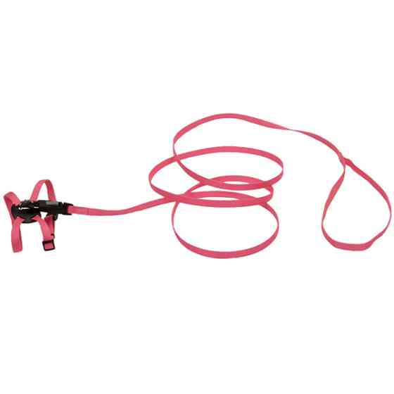 Coastal Li`l Pals КОСТАЛ ЛІТТЛ ПЕЛС шлея з повідцем для котів, 0.9х25см Київ