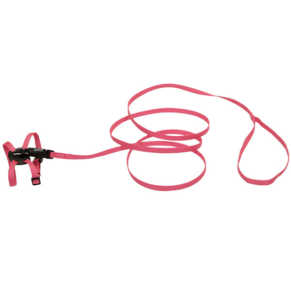 Coastal Li`l Pals КОСТАЛ ЛІТТЛ ПЕЛС шлея з повідцем для котів, 0.9х25см Київ - фото 1