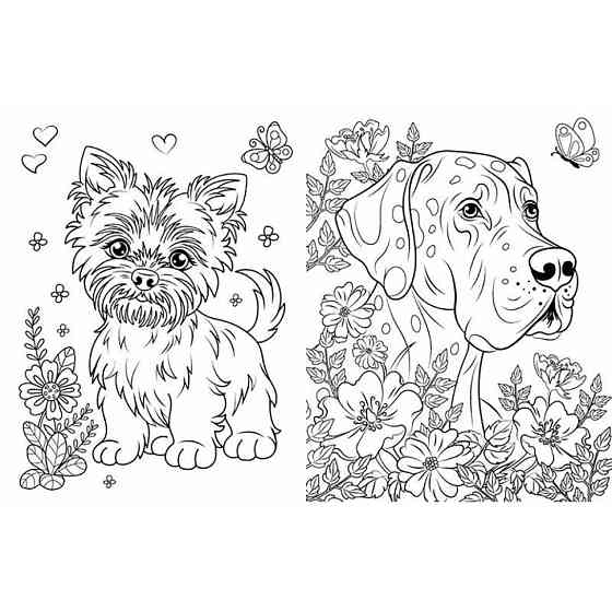 Большая книга раскрасок Кошки и собаки 1736021, 64 страницы Винница