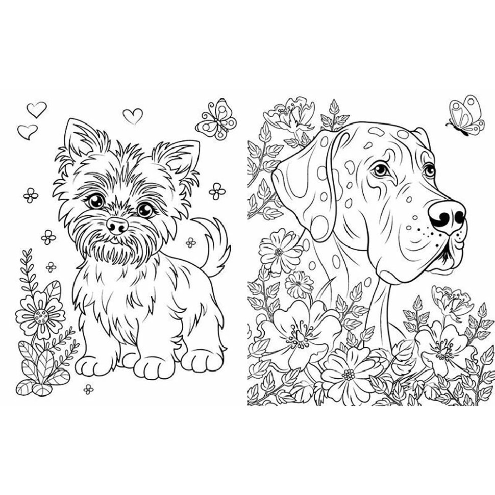 Большая книга раскрасок Кошки и собаки 1736021, 64 страницы Винница - изображение 3