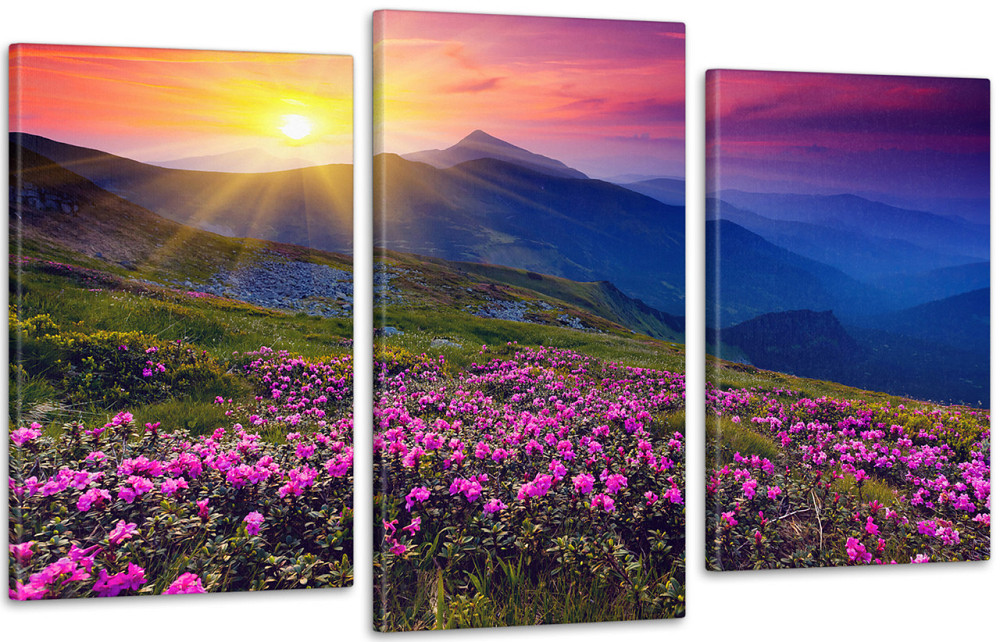 Модульна картина Природа Горі (53х100см) Art-62_3 Київ - фото 1