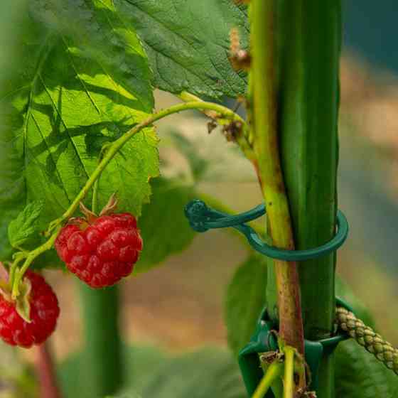 Зажимы диаметром 13 мм., 50 шт., TWIST LOCK, TYK13GR/50 Киев