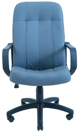 Офісне Крісло Керівника Richman Bordo Fly 2220 Пластік М2 AnyFix Блакитний Київ