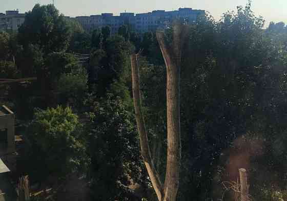 Бинокль складной 40×25 Киев