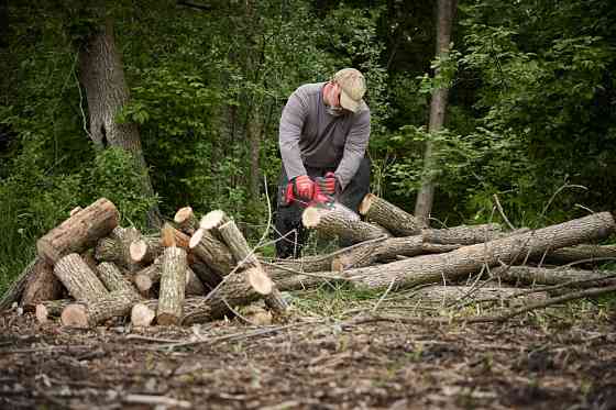 Пила цепная аккумуляторная MILWAUKEE, M18 FUEL FHS20-552 Одесса