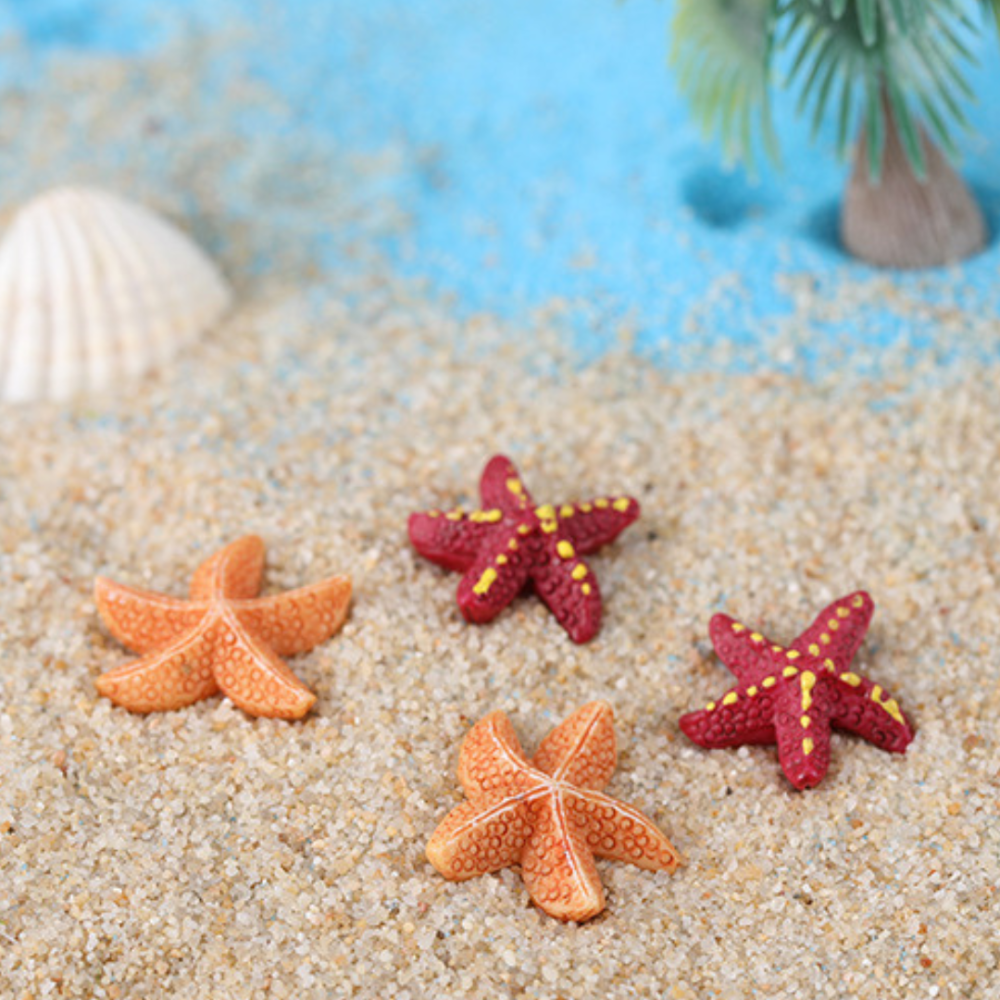 Декоративная Морская звезда для флорариума, минм-сада, микроландшафта, песочного стола, аквариума Одесса - изображение 1