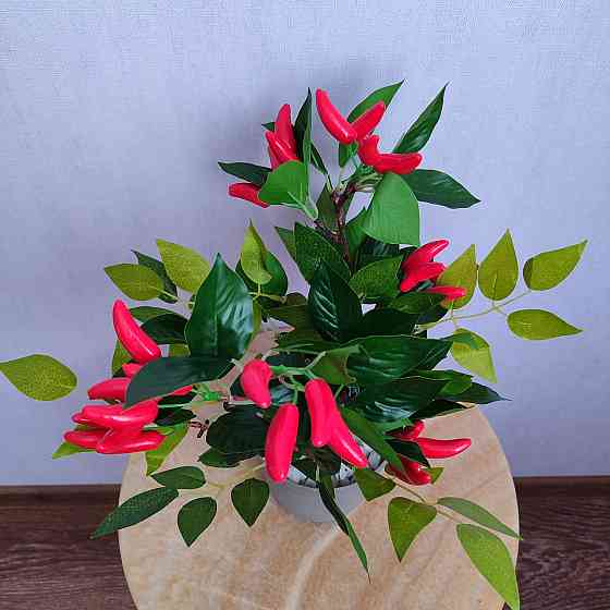 Композиція "Гострий перчик" Дніпро