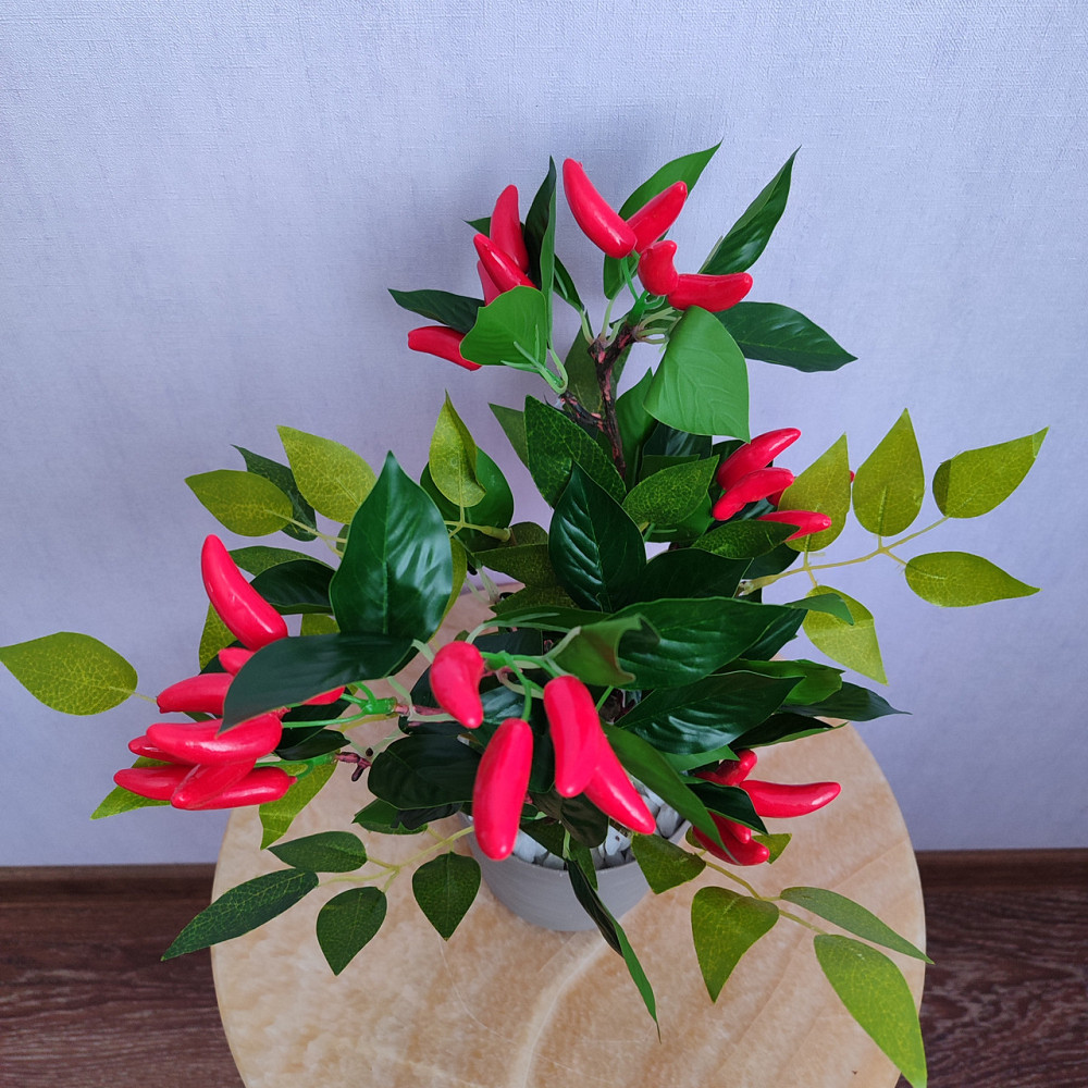 Композиція "Гострий перчик" Дніпро - фото 3