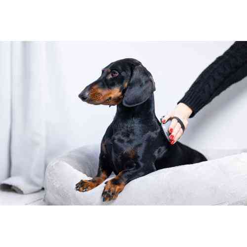 Щітка масажна FURminator для собак та котів, гумова Київ