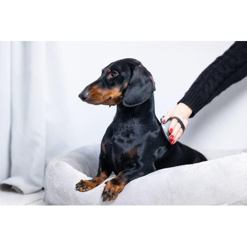 Щітка масажна FURminator для собак та котів, гумова Київ - фото 6