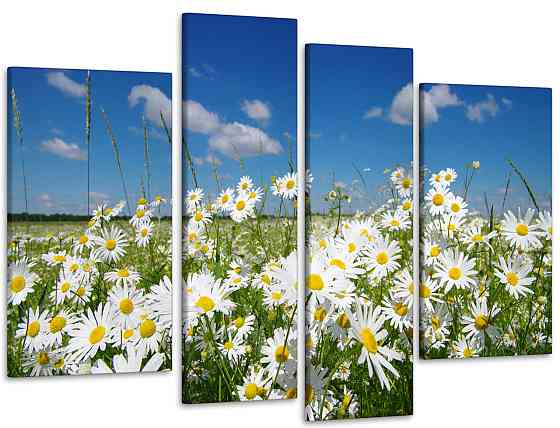 Модульная картина Поле Ромашек Art-34_4 90х132 см Киев