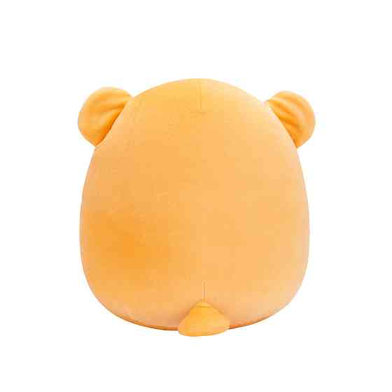 М'яка іграшка Ведмідь Чемберлен Squishmallows SQVA00849, 13 см Вінниця