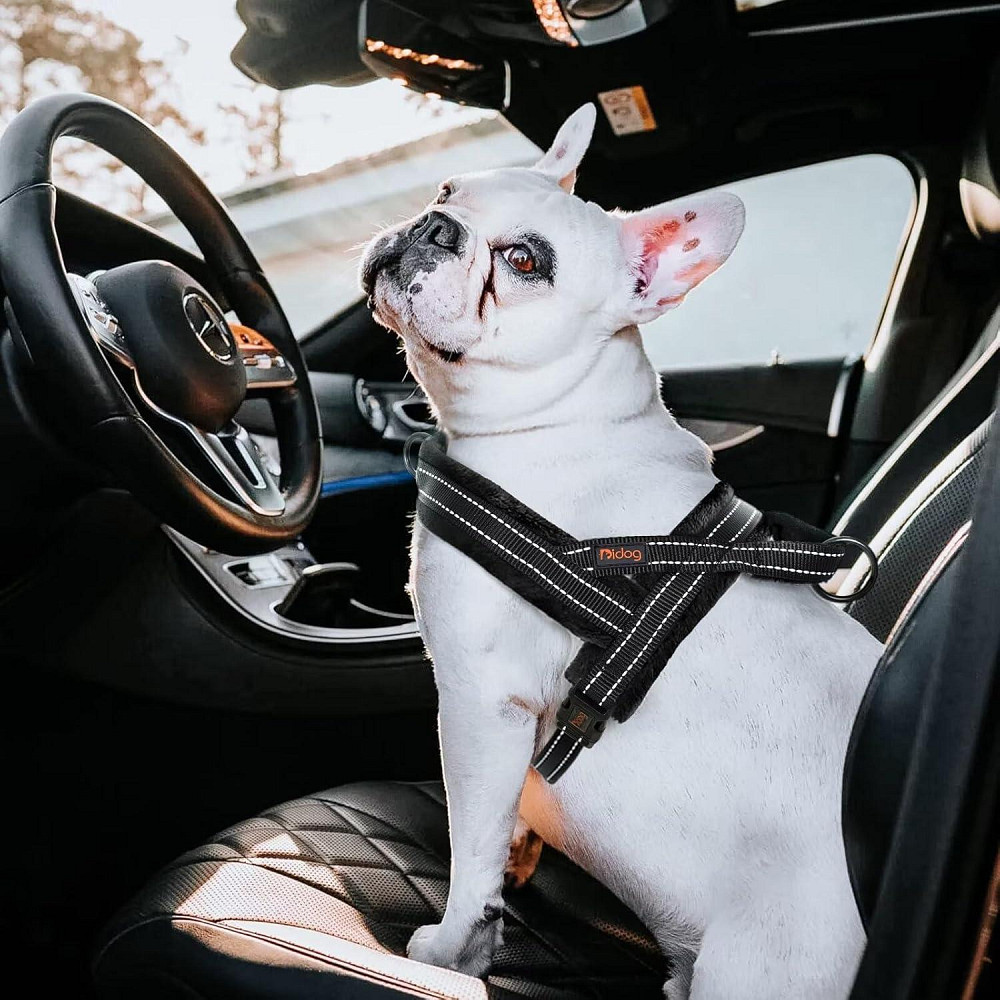 М'який фланелевий жилет-шлейка для собак Didog розмір S 4,5-9кг (товар вживаний) Луцьк - фото 1