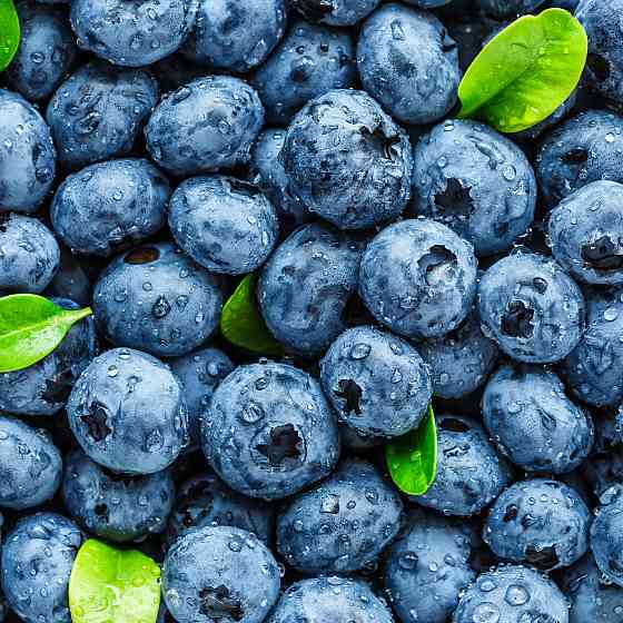 Предтренировочный комплекс DORIAN YATES NUTRITION BLOOD & GUTS 380 G (BLUEBERRY) Луцк