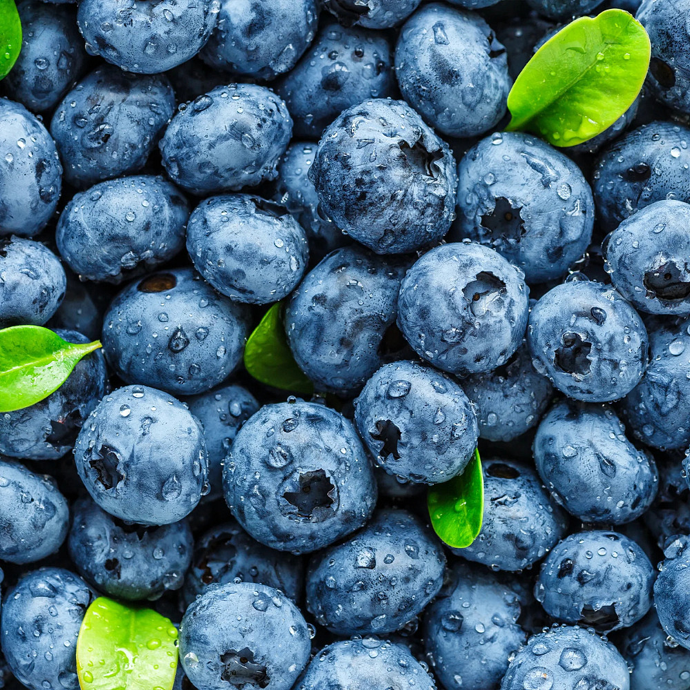 Передтренувальний комплекс DORIAN YATES NUTRITION BLOOD &amp; GUTS 380 G (BLUEBERRY) Луцьк - фото 2