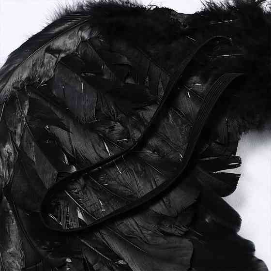 Крила Ангела 80х60см,MA26-188,Чорні SBR Київ