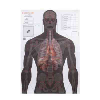 Мишень Алебарда "Анатомический силуэт" ALB-50 (566) Винница