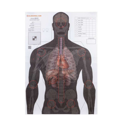 Мишень Алебарда "Анатомический силуэт" ALB-50 (566) Винница - изображение 1