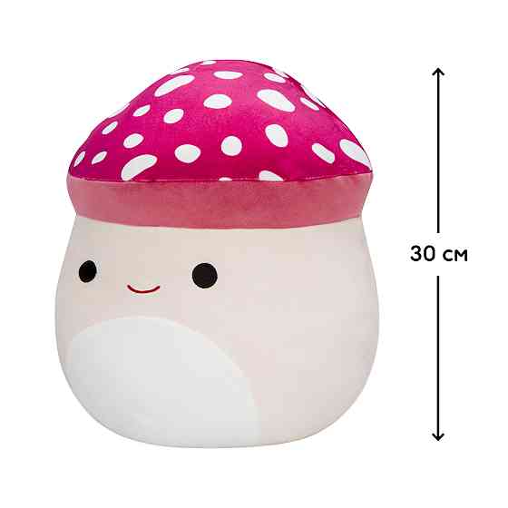 М'яка іграшка Squishmallows – Гриб Малькольм (30 cm) Днепр