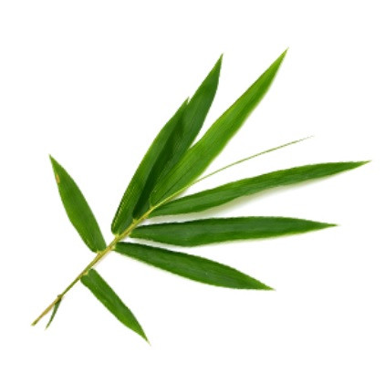 БИО-Шампунь Super Strong для укрепления волос с Бамбуком SANTE 500 мл Киев - изображение 2