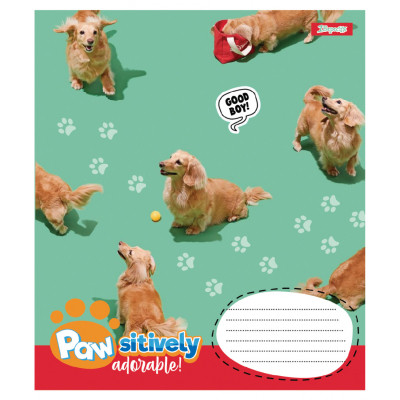 Зошит 1 вересня Pawsitively А5 24 аркушів клітинка (768240) Вінниця - фото 3