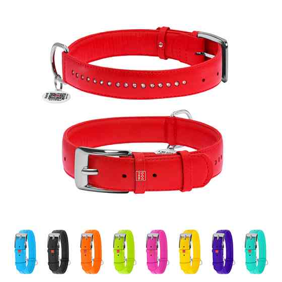 Нашийник для собак шкіряний WAUDOG Glamour з QR паспортом, подвійний зі стразами, XL, Ш 35 мм, Коломыя