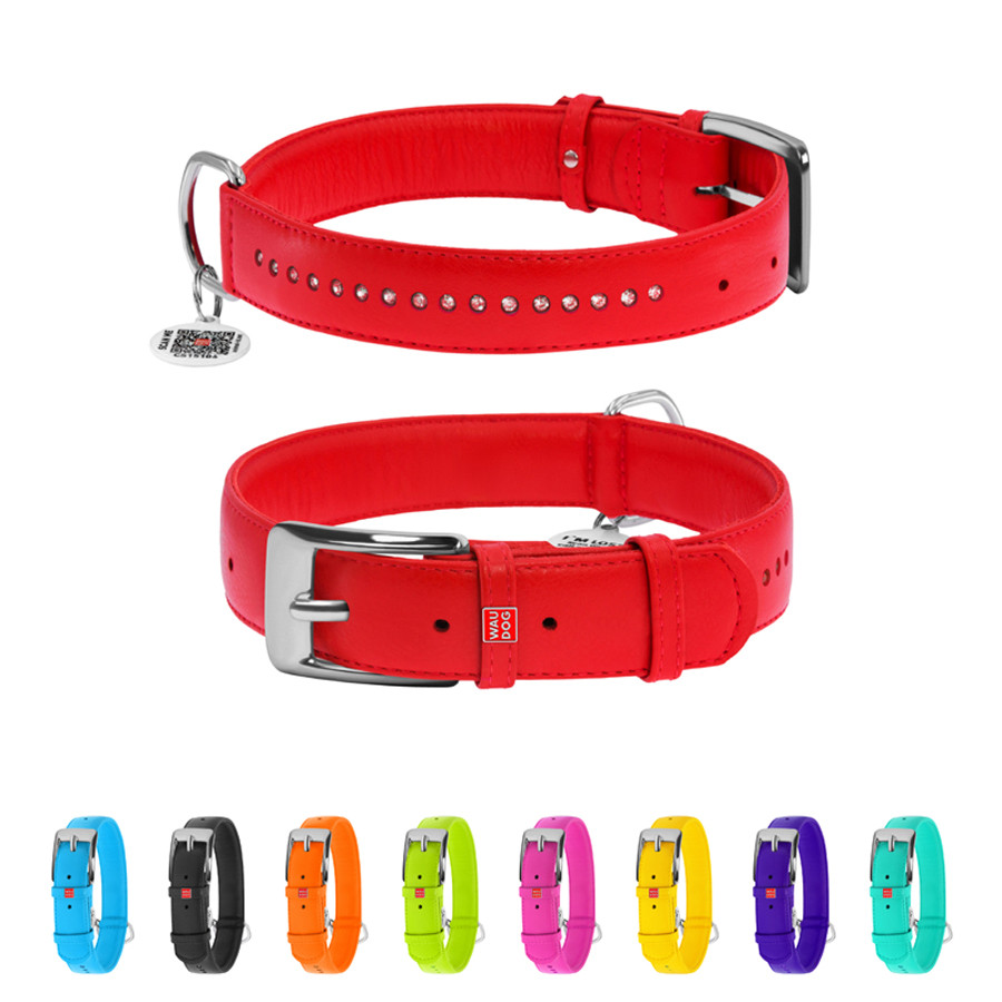 Нашийник для собак шкіряний WAUDOG Glamour з QR паспортом, подвійний зі стразами, XL, Ш 35 мм, Коломыя - изображение 1