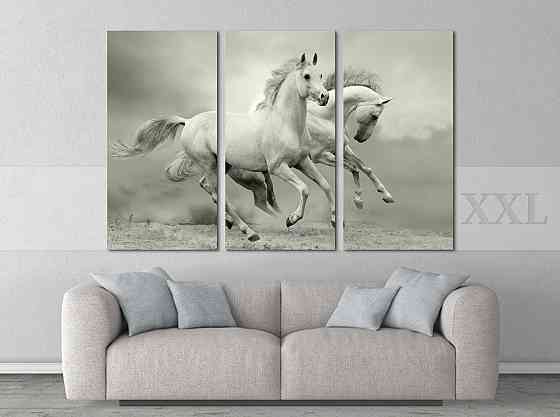 Модульна картина Білі Коні Art-125_XXL Київ
