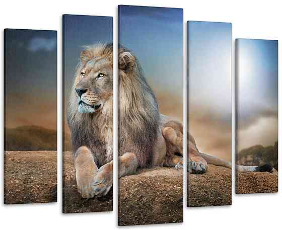 Модульна картина Африка Лев Art-272_5 ( 80х118см ) Київ
