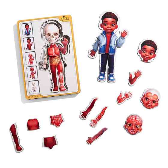 Дерев'яний пазл-вкладиш "Анатомія людини - хлопчик-3" (ПСД262) PSD262 будова тіла Вінниця