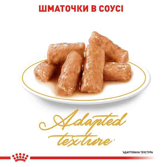 Вологий корм для дорослих котів ROYAL CANIN BRITISH SHORTHAIR ADULT 0.085 кг Київ