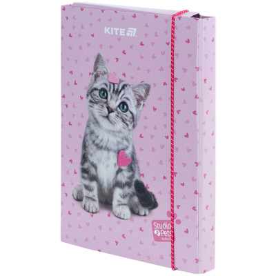 Папка для зошитів Kite В5 на гумці Studio Pets (SP25-210) Вінниця - фото 1