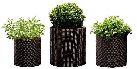 Горщик для квітів Keter 39 л. Cylinder Planter Large, коричневий Київ