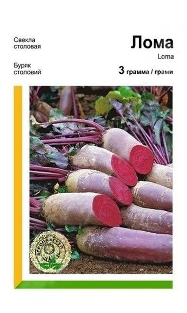Семена Свекла Лома 3гр Rijk Zwaan Винница - изображение 1